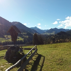 Hundetreffen 2018 im Allgäu (8)